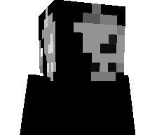 WsDan's skin