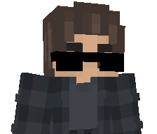 Vinaycat's skin