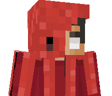 BriefOctopus's skin