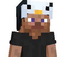 agncy's skin
