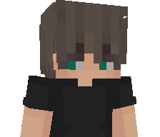 TrySpelar's skin
