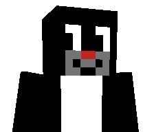 Ziom312's skin