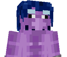 swishduck's skin
