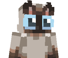 CheckIt_'s skin