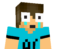 Niccsj's skin