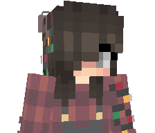 natebot2311's skin