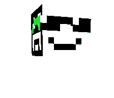 q1k's skin