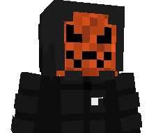 _Hit0ri_'s skin