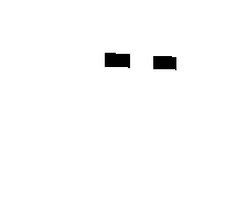 guineano's skin