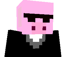 pakicar's skin