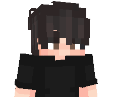 A5A5's skin