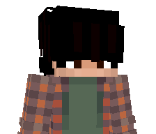 steh2k's skin