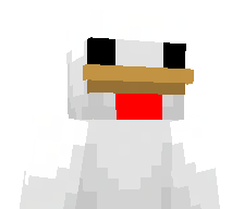 SillyMinecrafter's skin