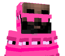 chickenonaraft's skin