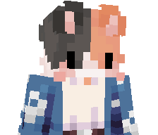 DrayzenMC's skin