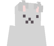 NotDewire's skin