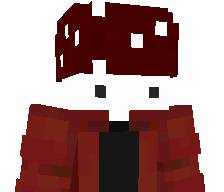 NewNiklas's skin