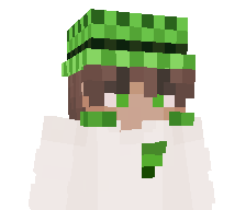 BlasterTL's skin