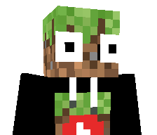 FlameK1ng's skin
