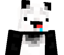 PKNH9's skin