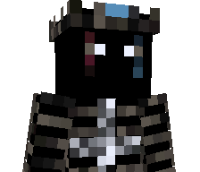 100_k1's skin