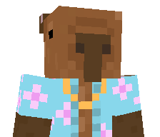 gacuch_bonsko's skin