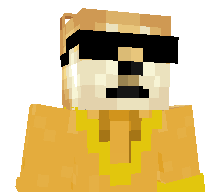 shibest's skin