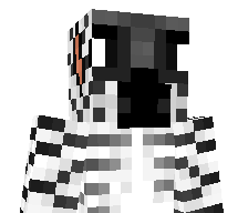 ZebraGaming41's skin