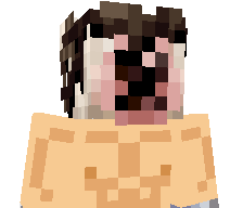 Julpeo's skin