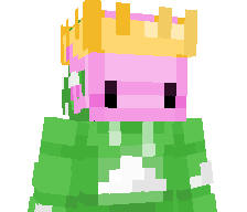 rage_the_best's skin