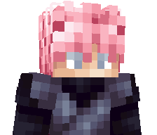 1XV2B's skin
