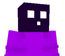 BlockNinja64_'s skin
