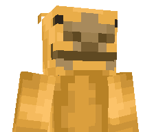 AKplayzMC's skin