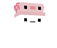 Woyze's skin