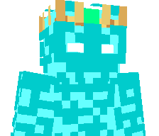 xXRaymenXx's skin