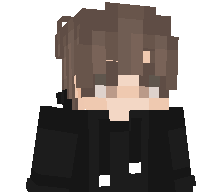 pro_healer11's skin