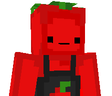 Xx_RoiZombie_xX's skin