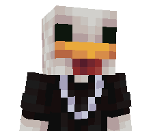Starsightseer's skin
