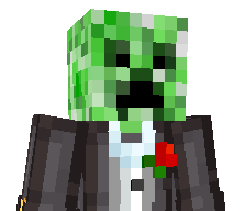Zigoolas's skin