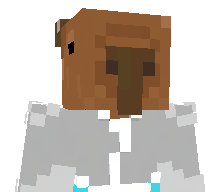 SanZz13's skin