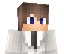 TheGerCraft's skin
