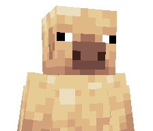 66W's skin