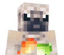 PaintDotNet_'s skin