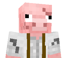 _P1G_'s skin