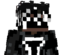 T1gerVoid's skin