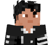 NBLAYX's skin