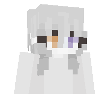 Solidtrain's skin