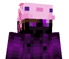 Pixxellated's skin
