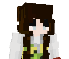 minigamerz11111's skin
