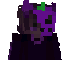 __NightTerror__'s skin